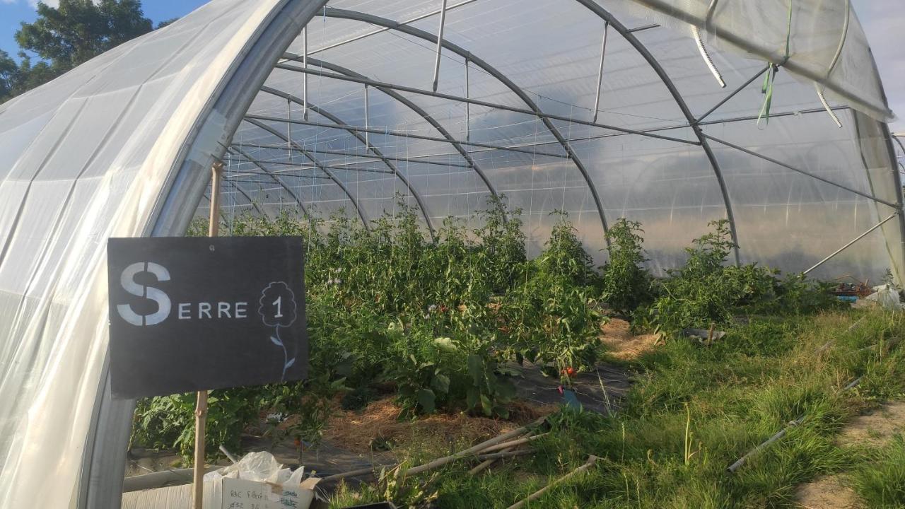 Eco-Gite A La Ferme D'Elles Saint-Andre-de-l'Epine Exterior foto